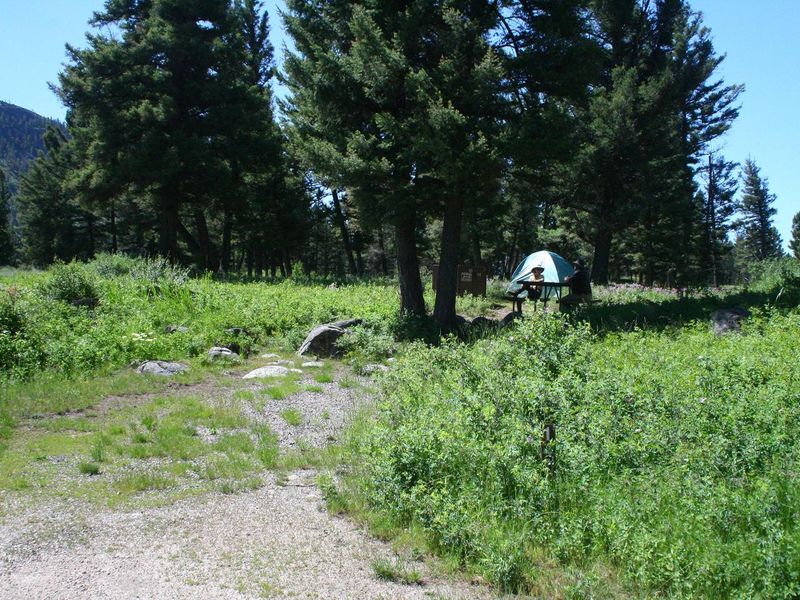 Slough Creek Campground Site #14