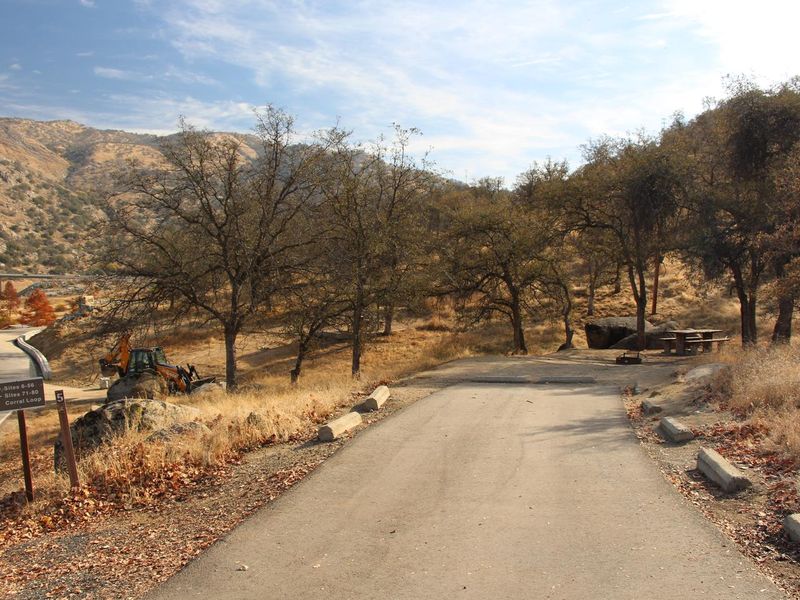 Driveway for campsite. Not very long. Can take two vehicles, one vehicle with one trailer or a 28' RV.
