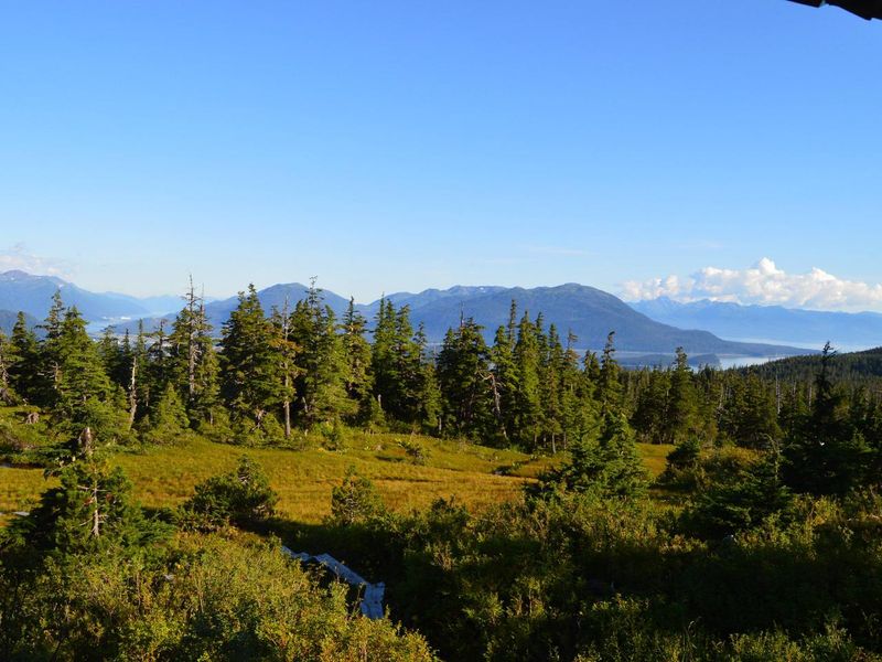 View from back of cabin