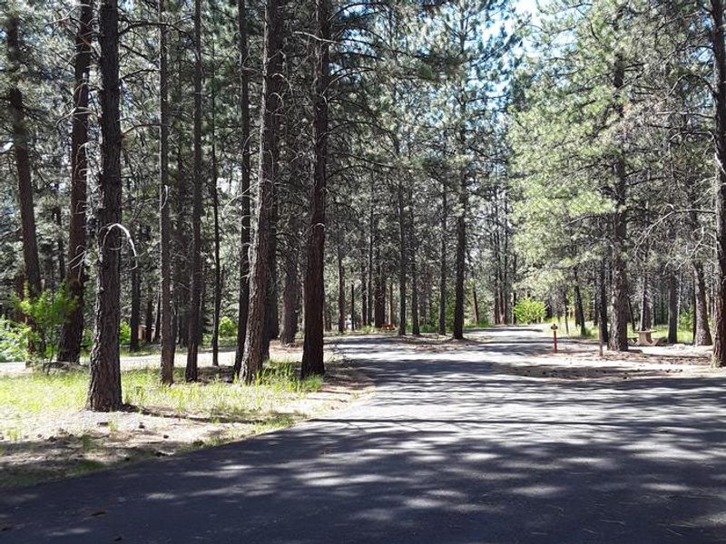 Location of Campsites.