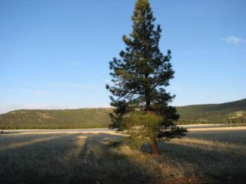 Benny Creek Group Area