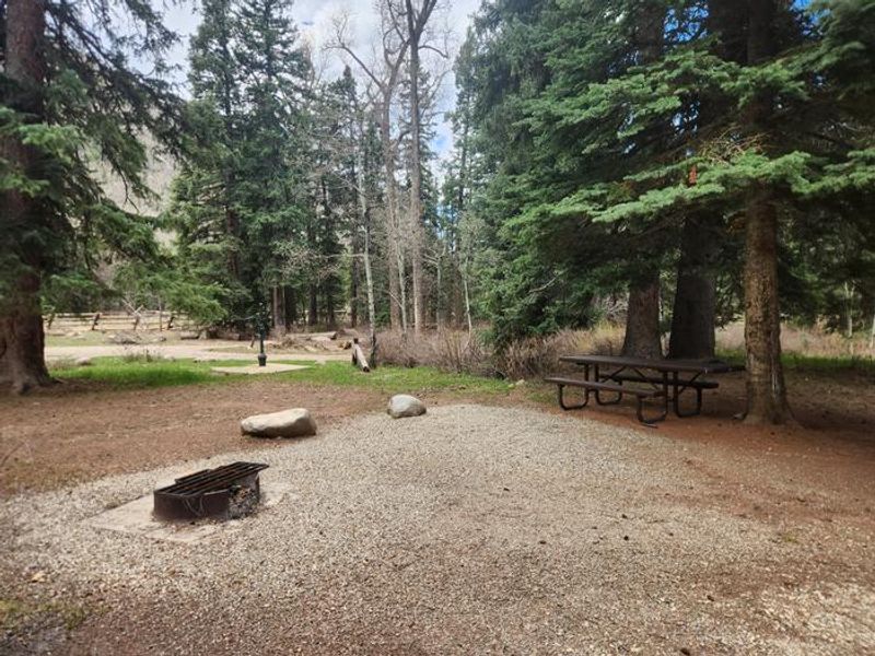Typical camp site in Kroeger campground with picnic table and fire ring