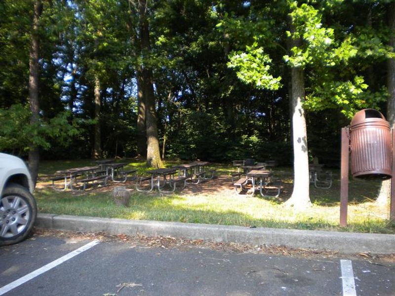 Area D2 is the other small area, it is close to the parking lot