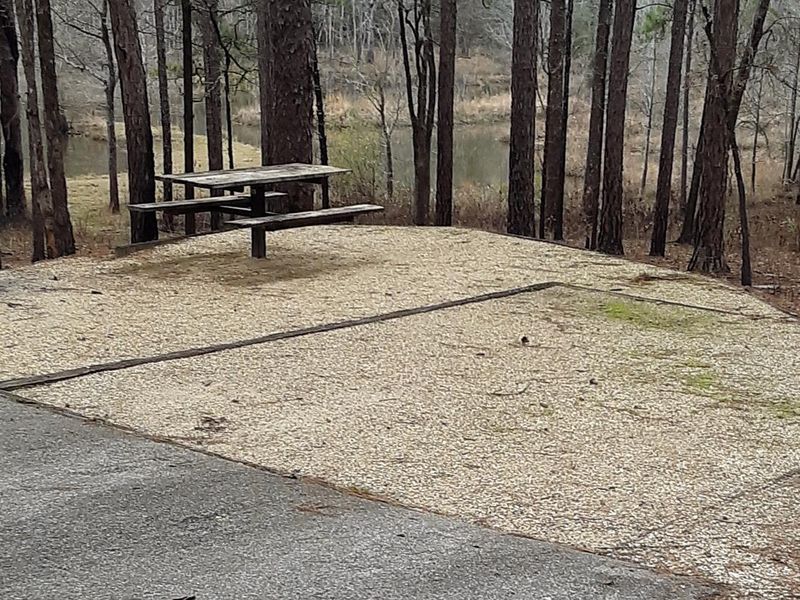 Overlooking Turkey Fork Lake
