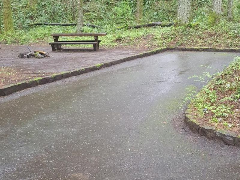 Wyeth campground Site #8