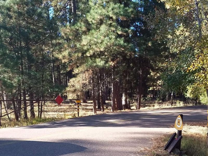 SINKHOLE Campground Entrance Sign