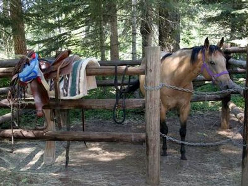 WILLOW PRAIRIE HORSECAMP