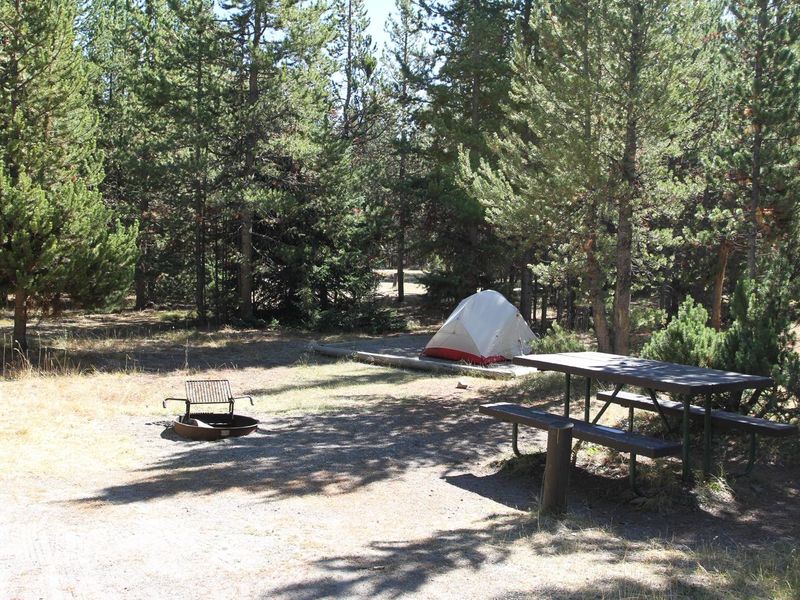 Indian Creek Campground site #45