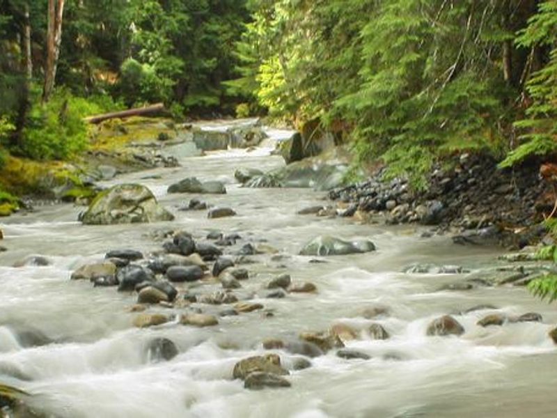 Ohanapecosh River, Mt Rainier NP