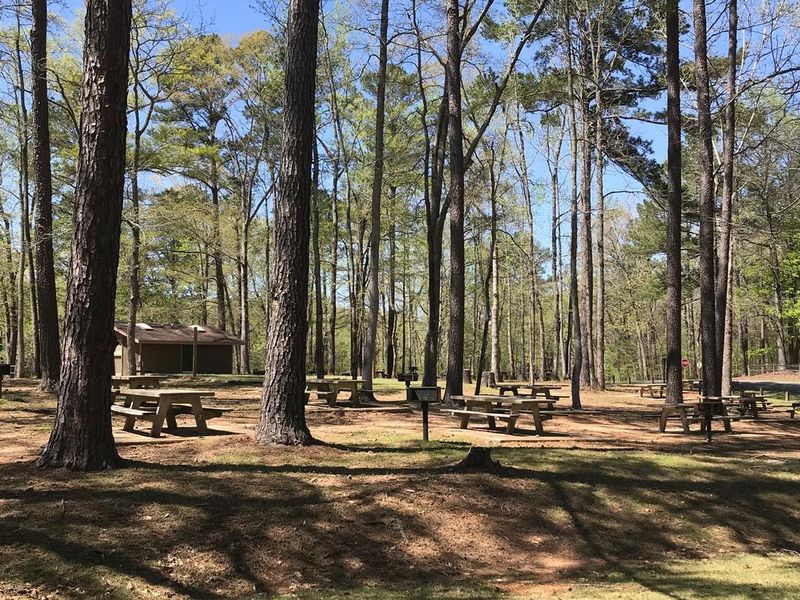 Rocky Branch Picnic Area