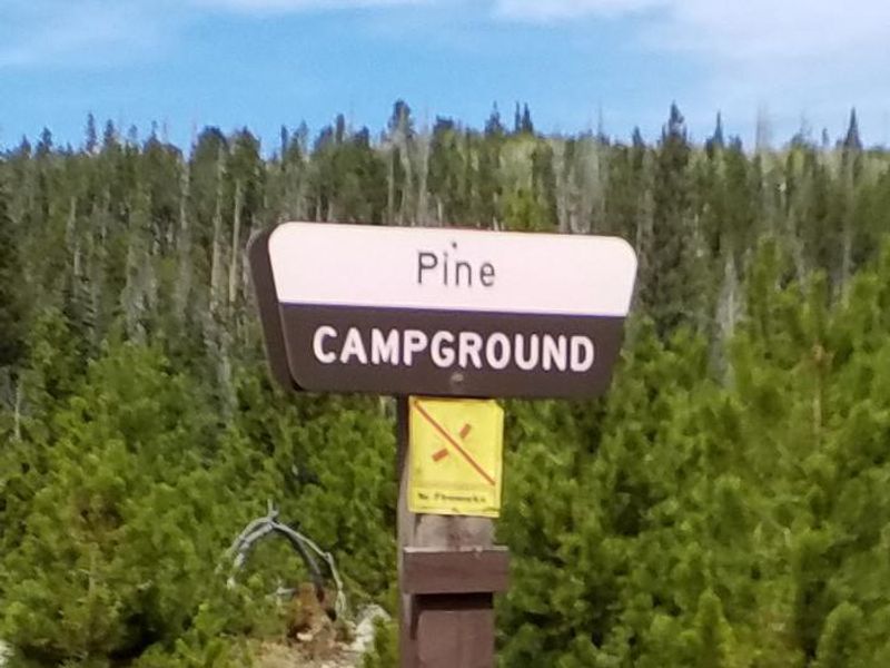 Pine Campground entry sign