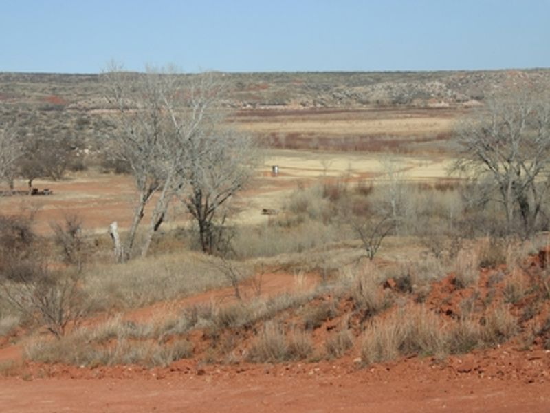 Backcountry camping; just pick a meadow.