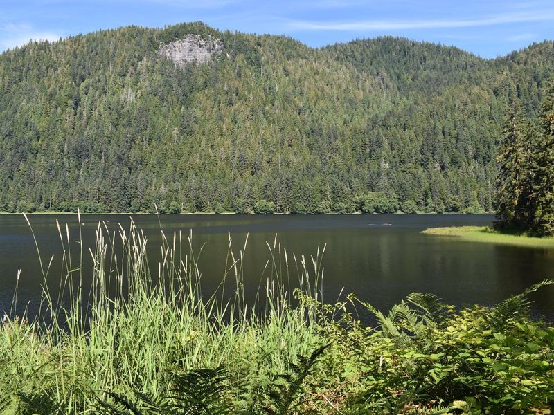 Heckman Lake from Cabin