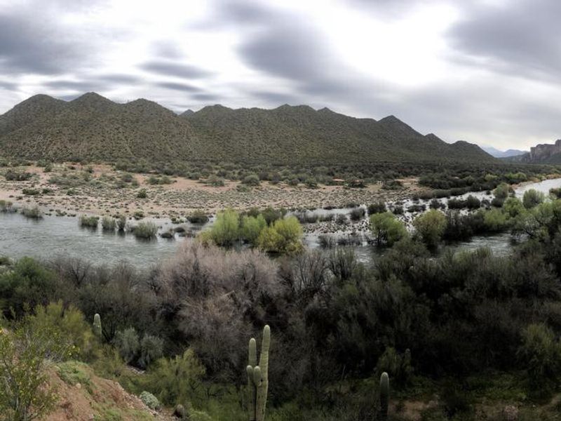Tonto National Forest