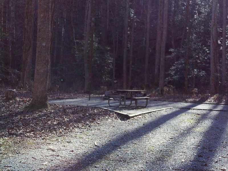 Low Gap Campground site #1