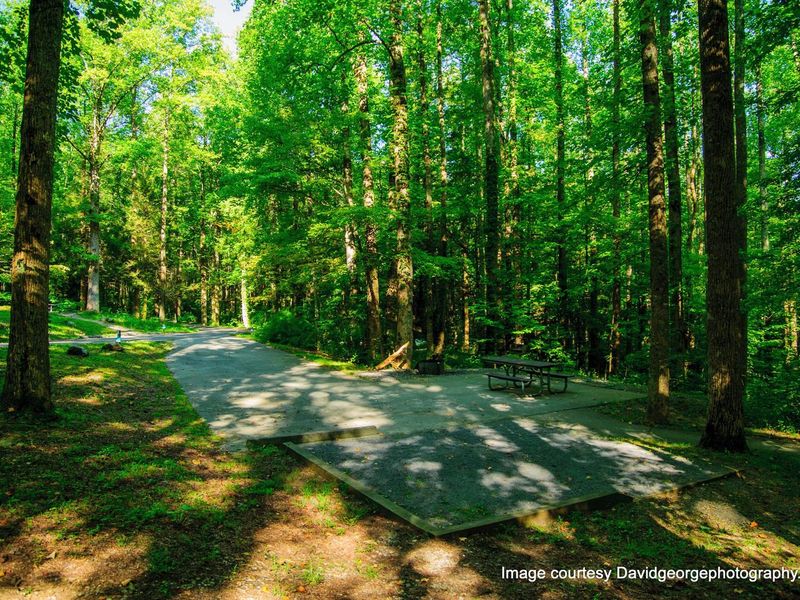 Some RV sites also include a tent pad. See site descriptions to chose appropriately if you'd like to tent camp and have an RV. 