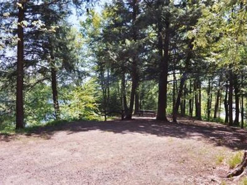 The sun peaks through the trees at a campsite
