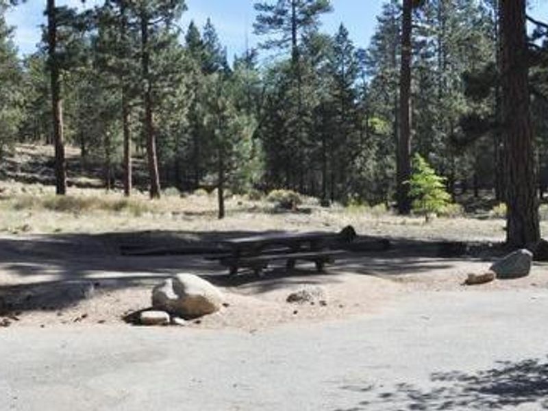 Barton Flats Campground Picnic Tables in the shade