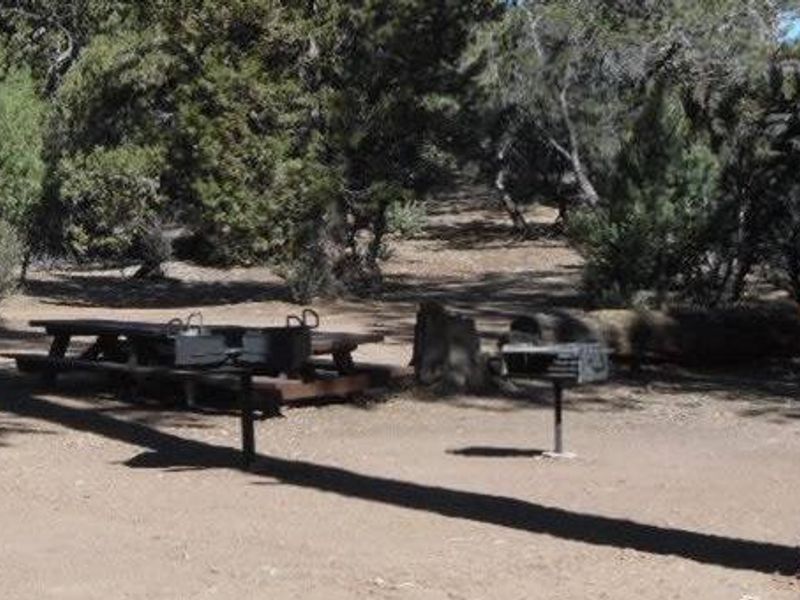 Picnic Tables and Group Fire Circle at Tanglewood Group Camp Sign