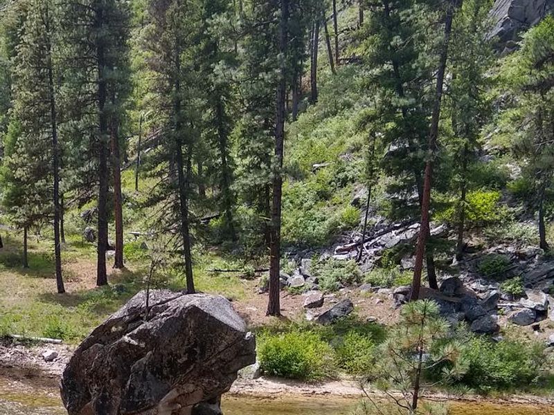 Although not within the campground, Black Rock Campground is named after this nearby formation rising from the North Fork of the Boise River.