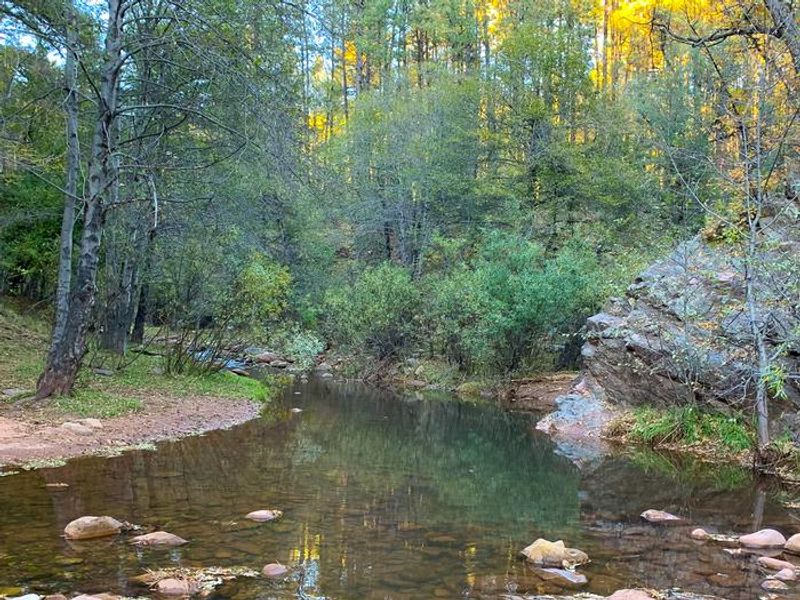 Tonto Creek 