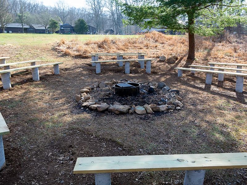 Relax with friends and enjoy nature in the renovated fire circle.  Dry wood is available on site in the new wood shed.