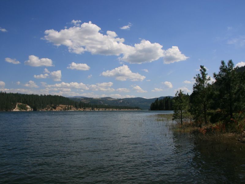 A view of the lake from Snag Cove Campground.