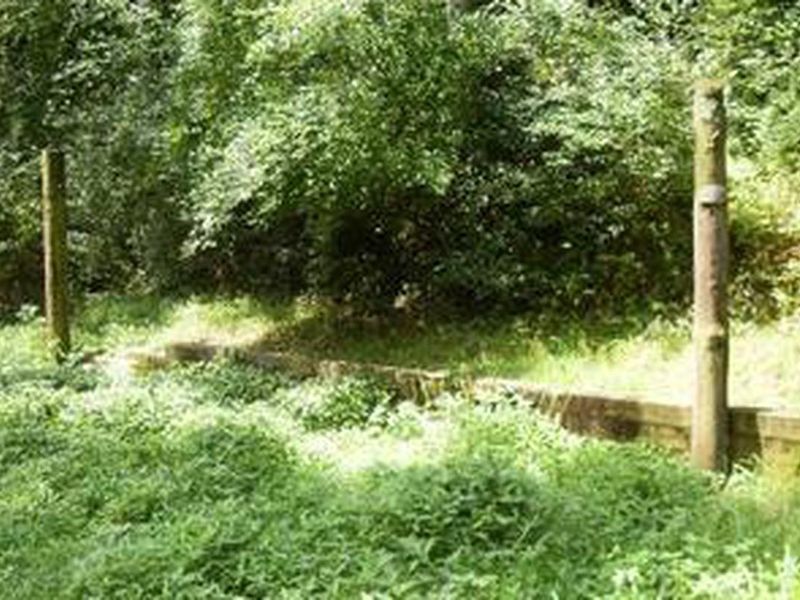 Wash Creek Horse Camp 