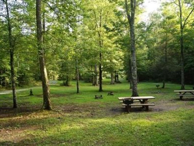 View of campground, tables and grills