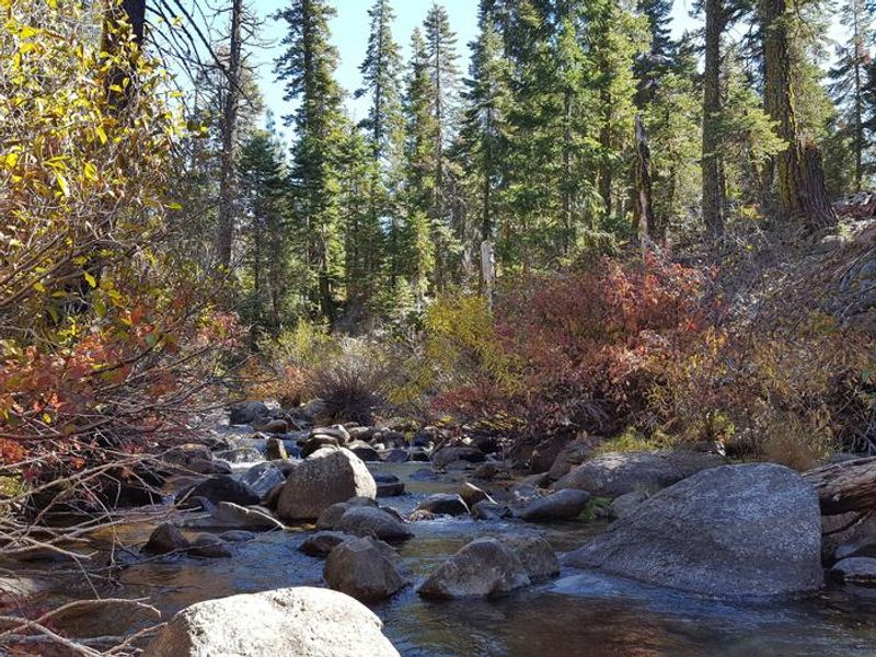 North Fork Yuba River at Sierra