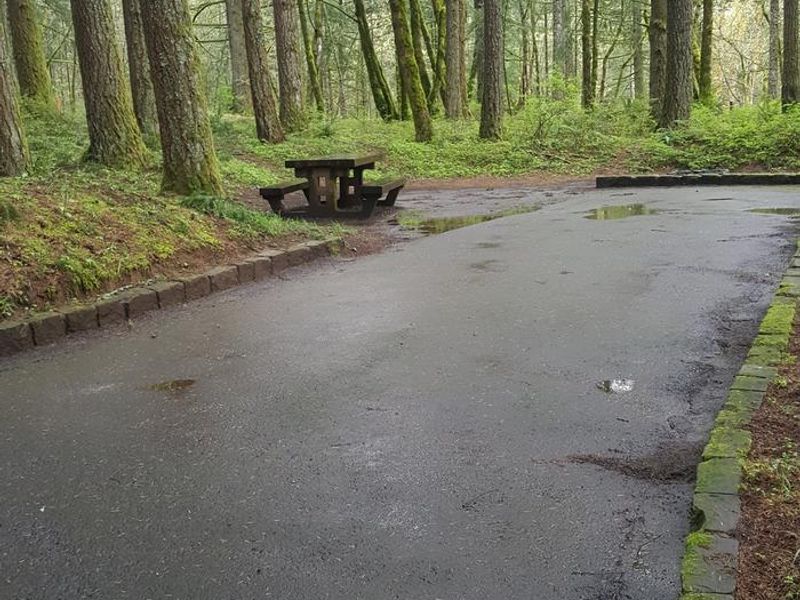 Wyeth campground Site #6