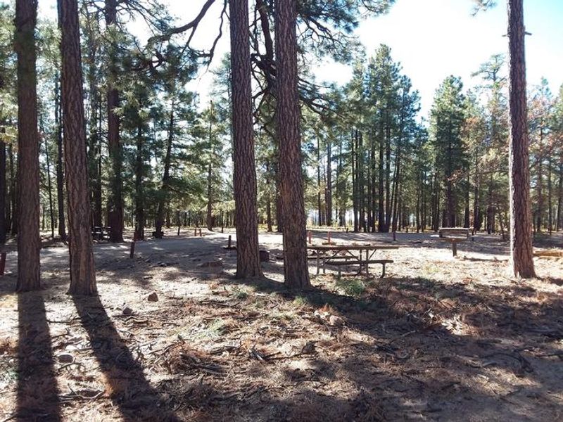 Gentry Group Campground