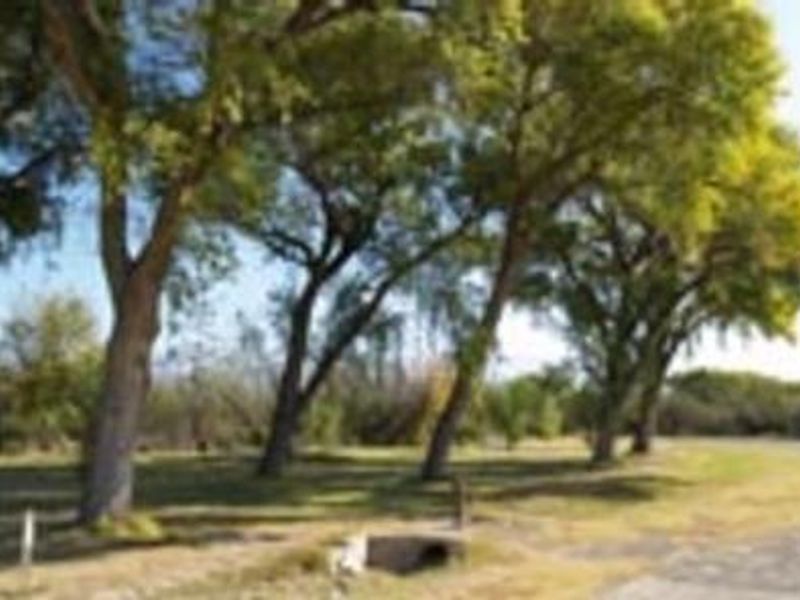 Large trees lining grassy, flat areas
