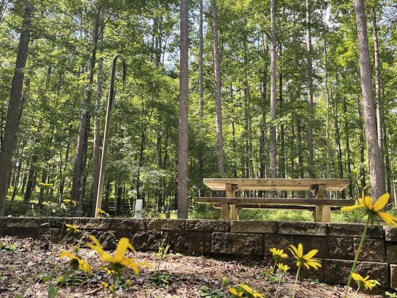 Campsite in Choctaw Lake Recreation Area