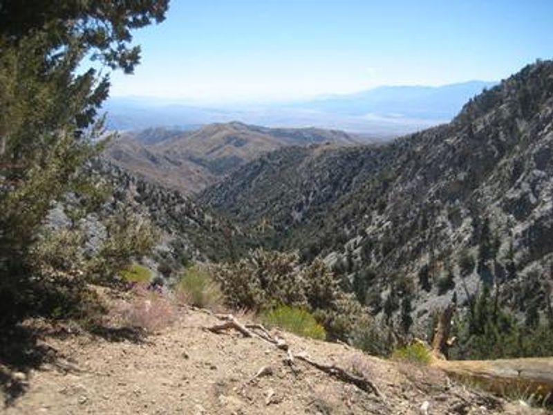 View from Coon Creek Group Campground
