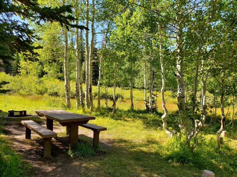 Gooseberry Group Campground Site #1