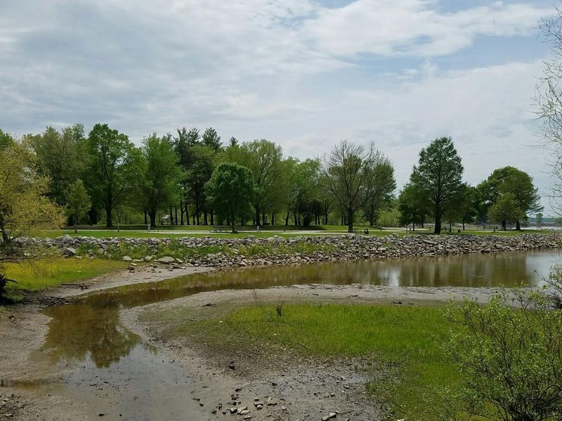View of campsites at Coles Creek Campground.