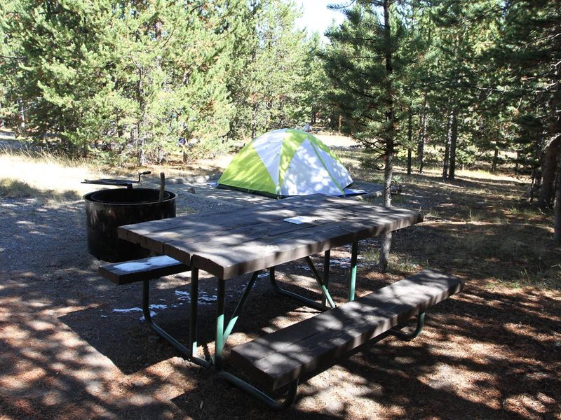 Indian Creek Campground site #49