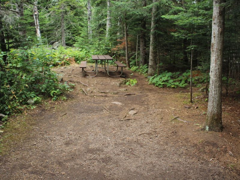 An example of a Daisy Farm Campground tent site.