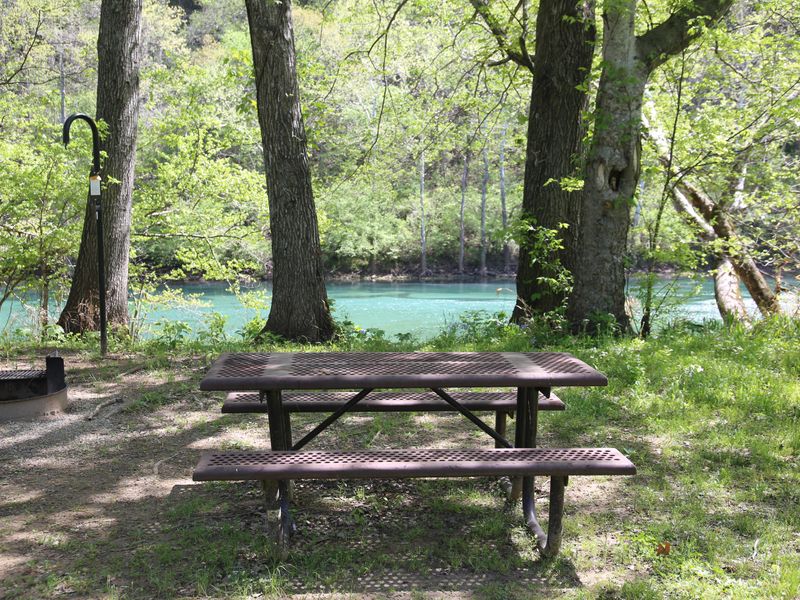 Big Tree offers stunning campsites right along the Current River.