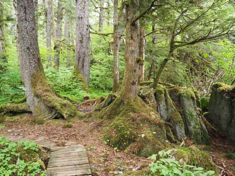 Wooden walkway outside Little Dry Island Cabin