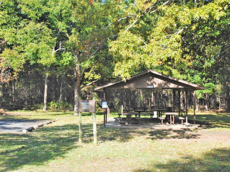 Picnic Shelter