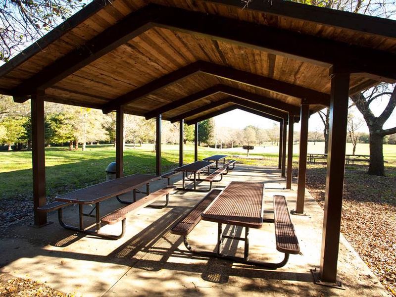 Juniper Hill Group Picnic  #3