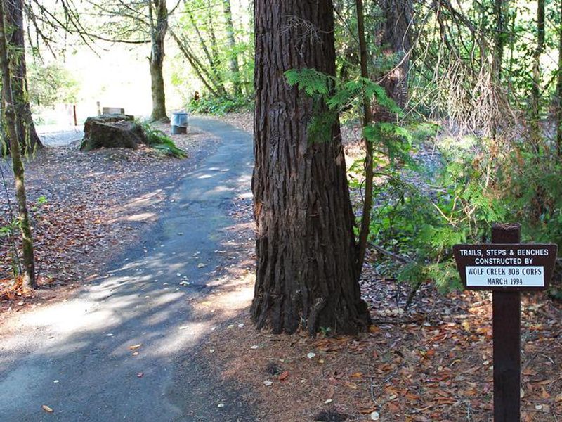 View of paved trail at Tyee Campground.
