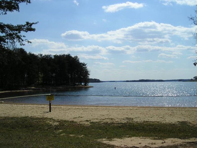 Springfield Campground Swim Beach - located between sites 26 and 27