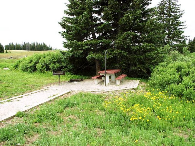 Bald Mountain Site 15