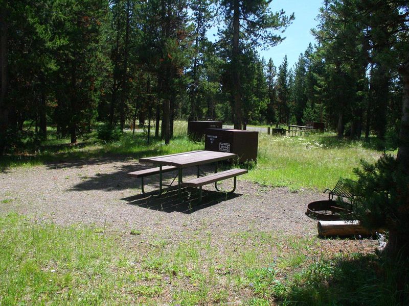 Indian Creek Campground site #19