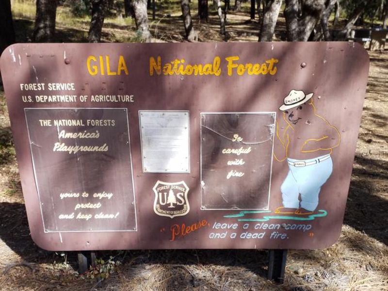 LITTLE WALNUT Smokey Bear Sign