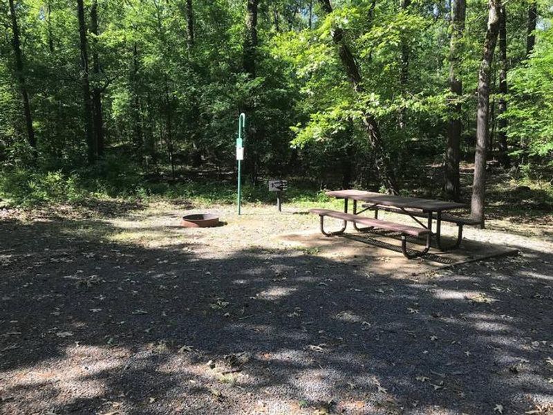 Campsite #9. Tent site with the following amenities: fire-pit, grill, picnic table, lantern pole, trash can.