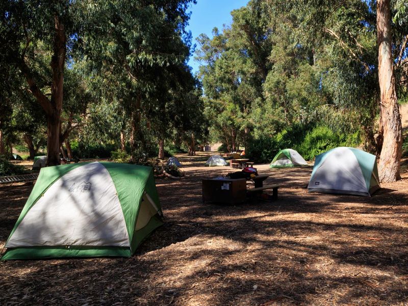 Scorpion Canyon Campground, Santa Cruz Island
